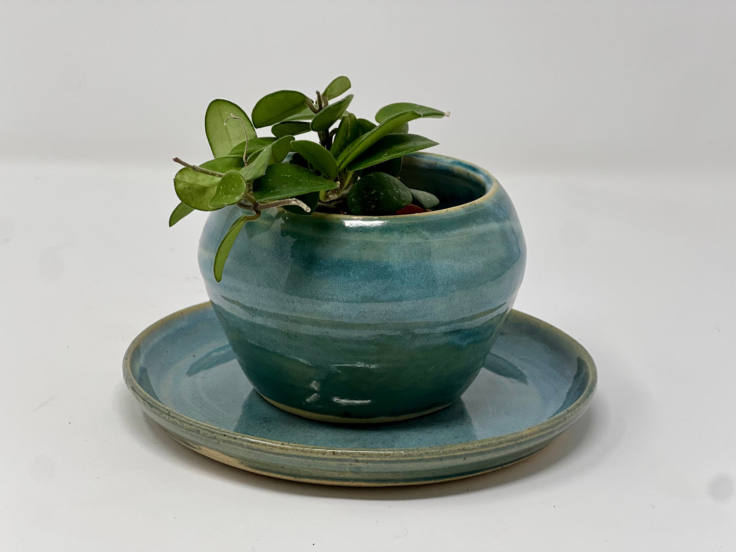 Small blue planter with plate