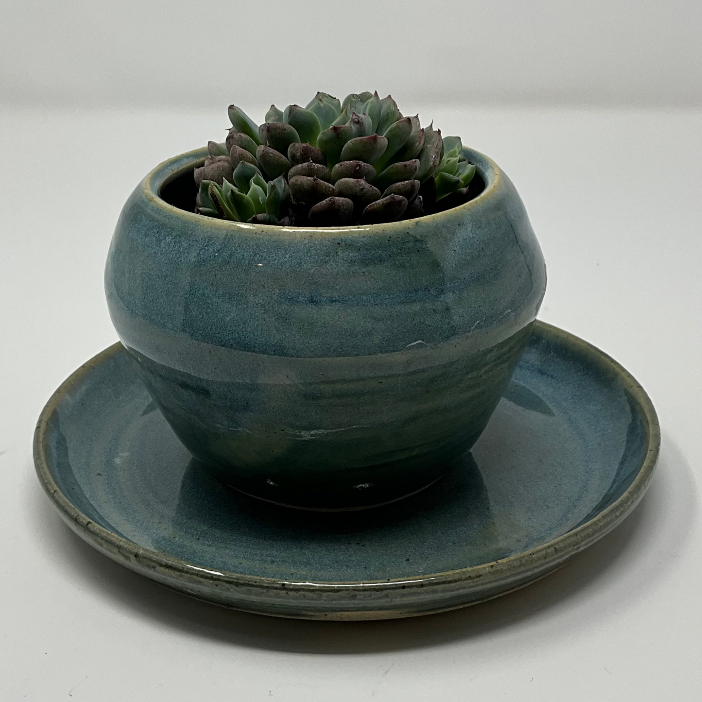 Handmade Ceramic Planter - Antique Blue Glazing with Base Plate and succulent plant