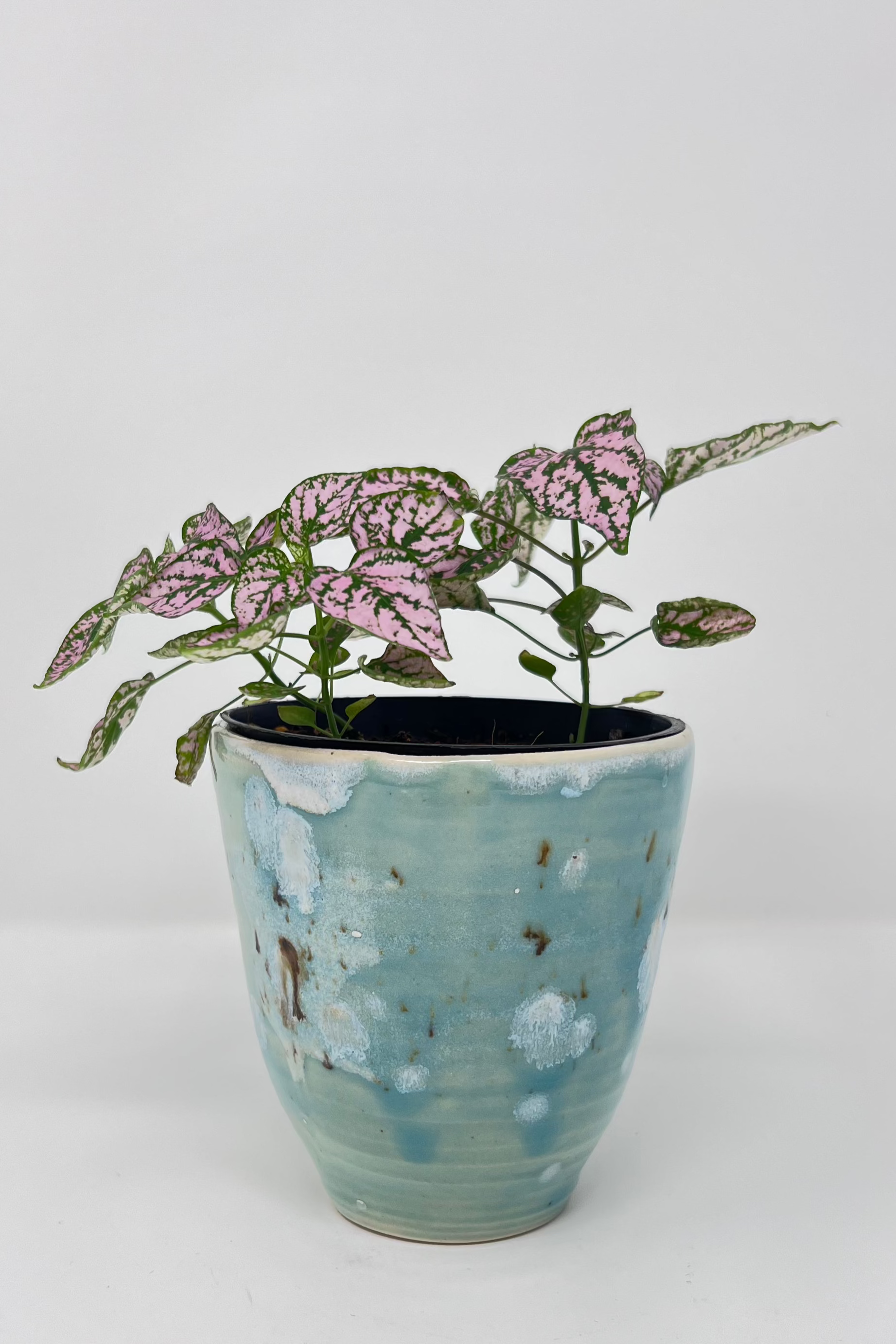 house plant ceramics Planter | Handmade Pottery & Ceramics