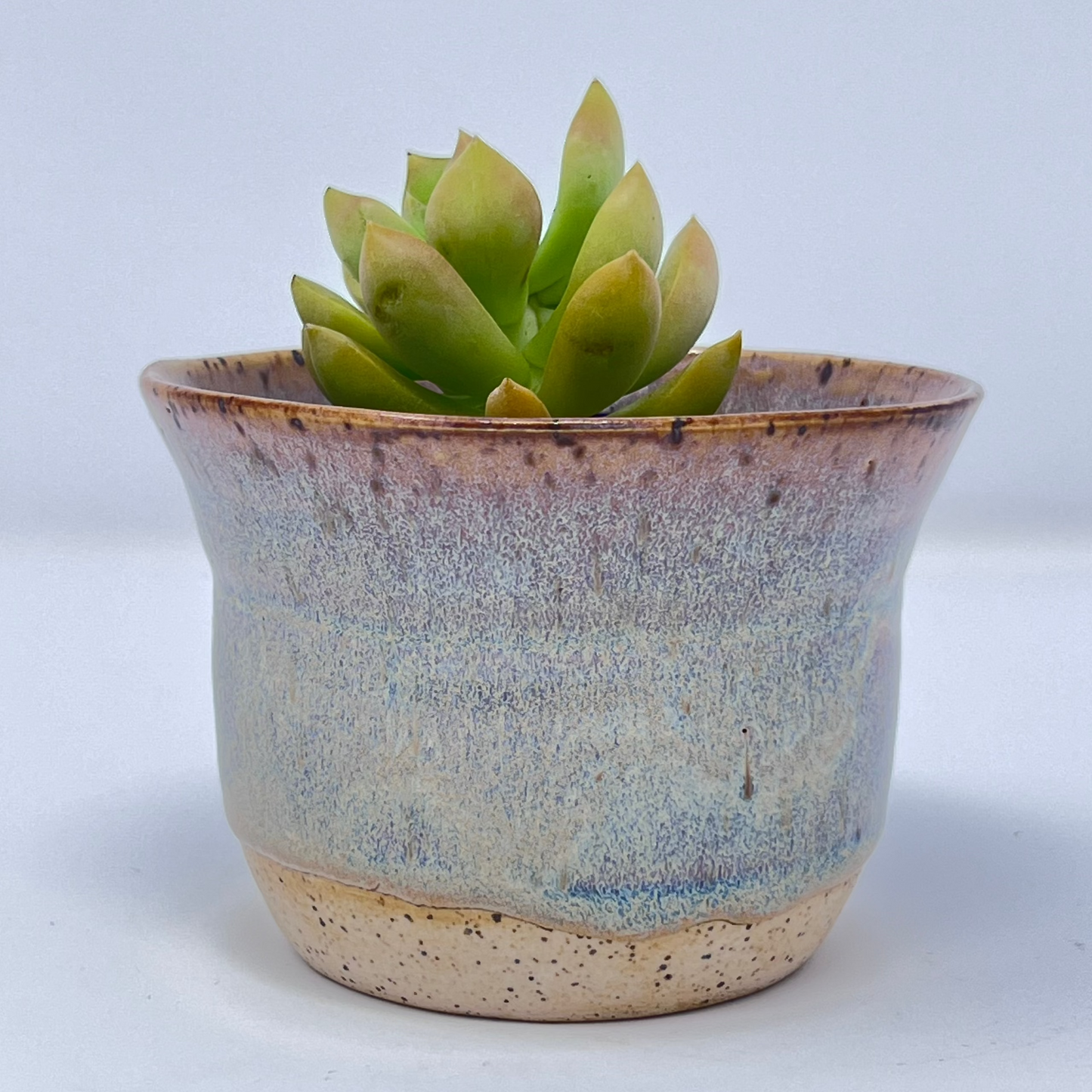 Handmade Ceramic Planter - Antique Glazing Over Speckled Clay with Small Succulent Plant