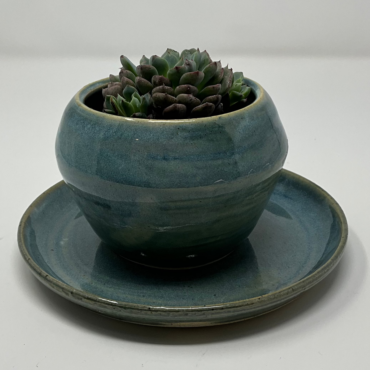 Handmade Ceramic Planter - Antique Blue Glazing with Base Plate and succulent plant 