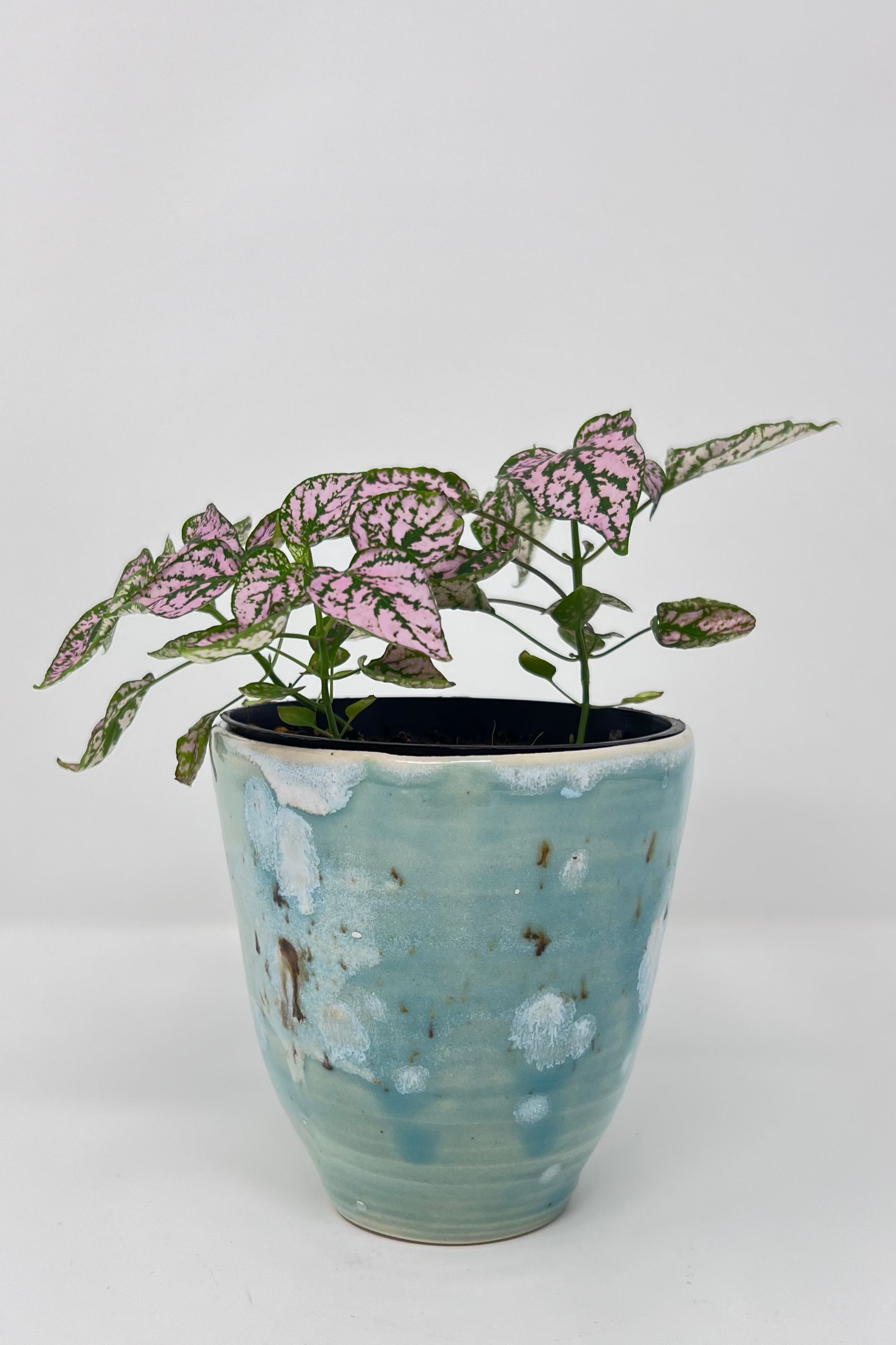 Handmade Ceramic Planter - Large Bloom Glazing with Small House Plant